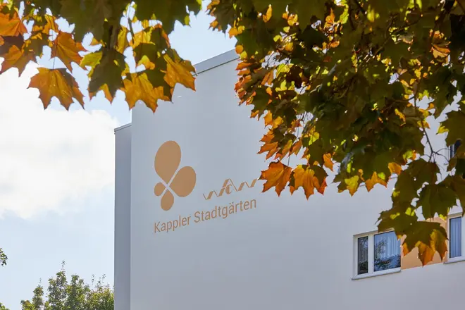 3 Zimmer Wohnung mit 58 m² in Chemnitz – Bild 5