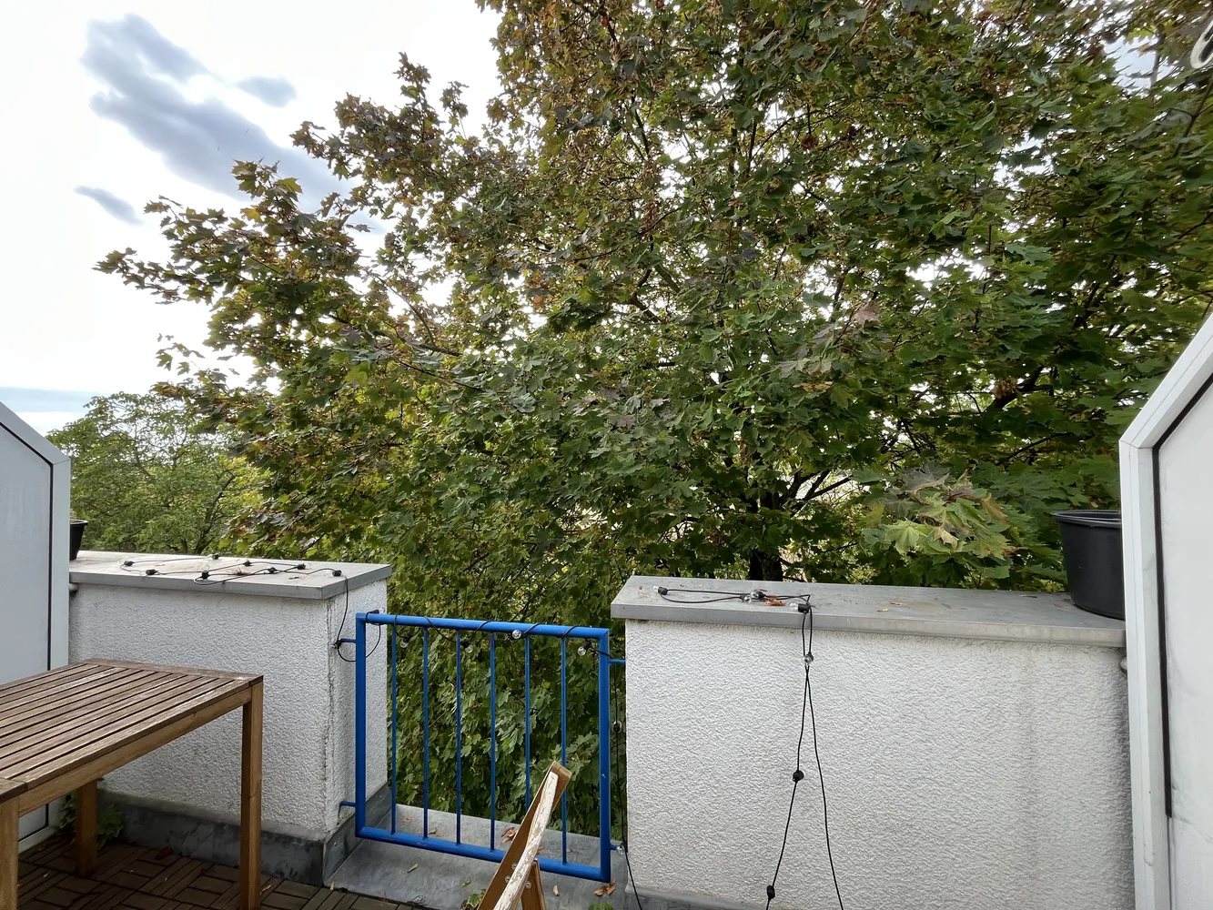 2 Zimmer Wohnung mit 38 m² in Mainz – Bild 10