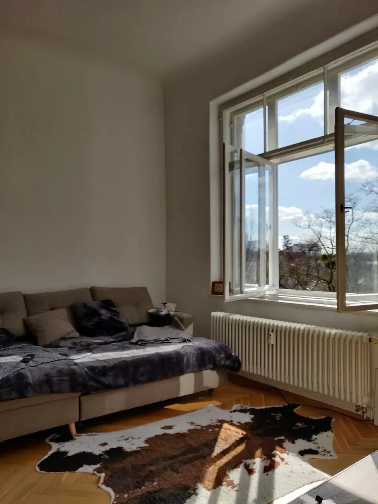 2 Zimmer Wohnung mit 50 m² in Dresden – Bild 4