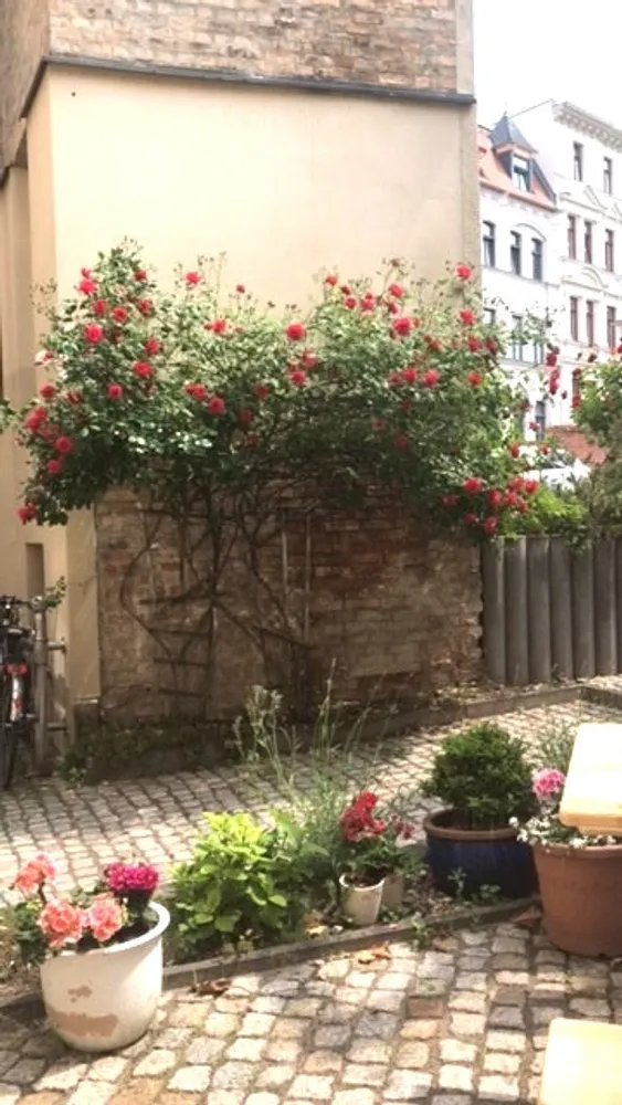 2 Zimmer Wohnung mit 60 m² in Halle (Saale) – Bild 10