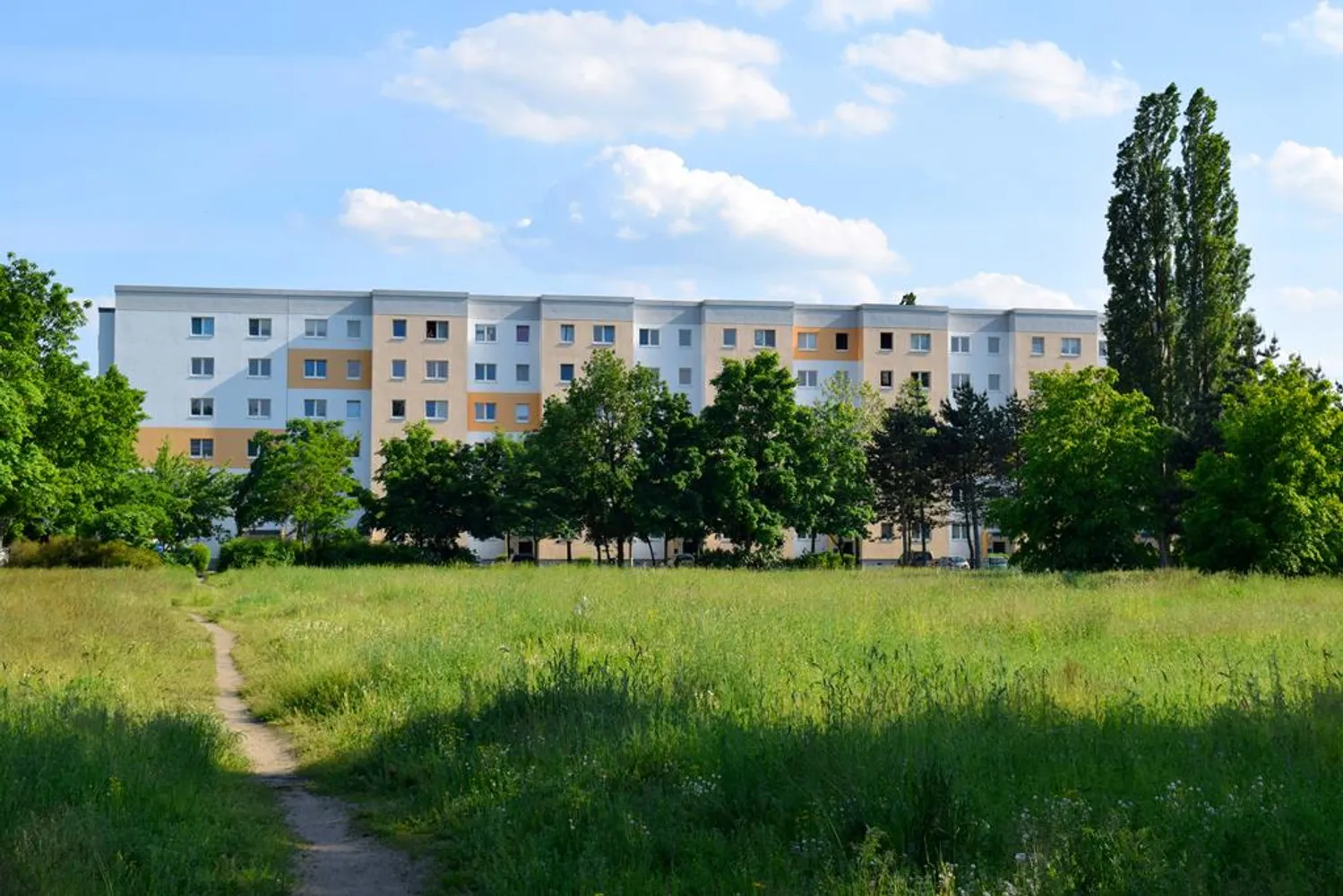 4 Zimmer Wohnung mit 72 m² in Cottbus – Bild 6