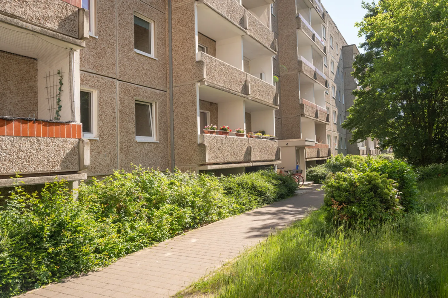 3 Zimmer Wohnung mit 62 m² in Neubrandenburg – Bild 5