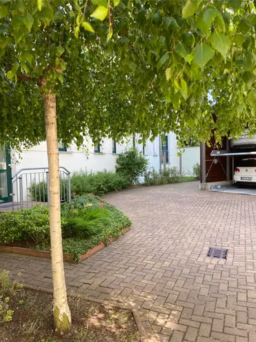 3 Zimmer Wohnung mit 78 m² in Magdeburg – Bild 4