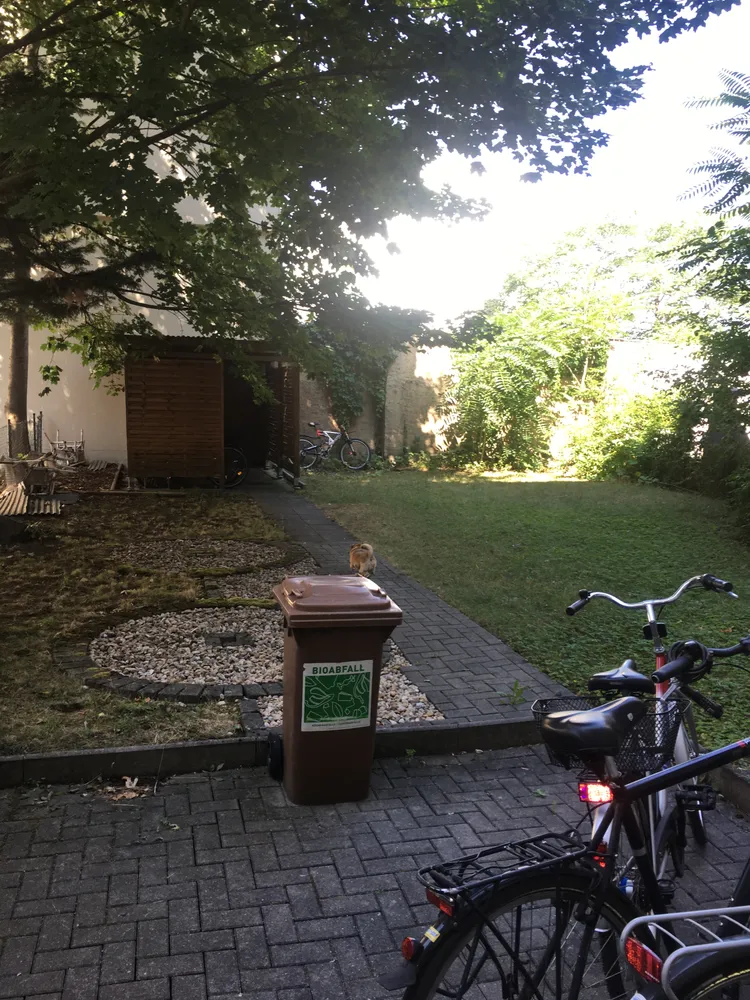 2 Zimmer Wohnung mit 54 m² in Leipzig – Bild 9