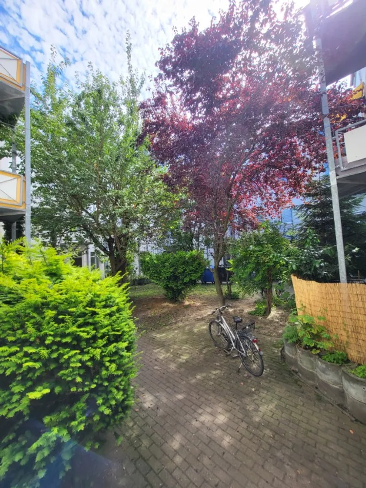2 room apartment with 41 m² in Magdeburg – Photo 9