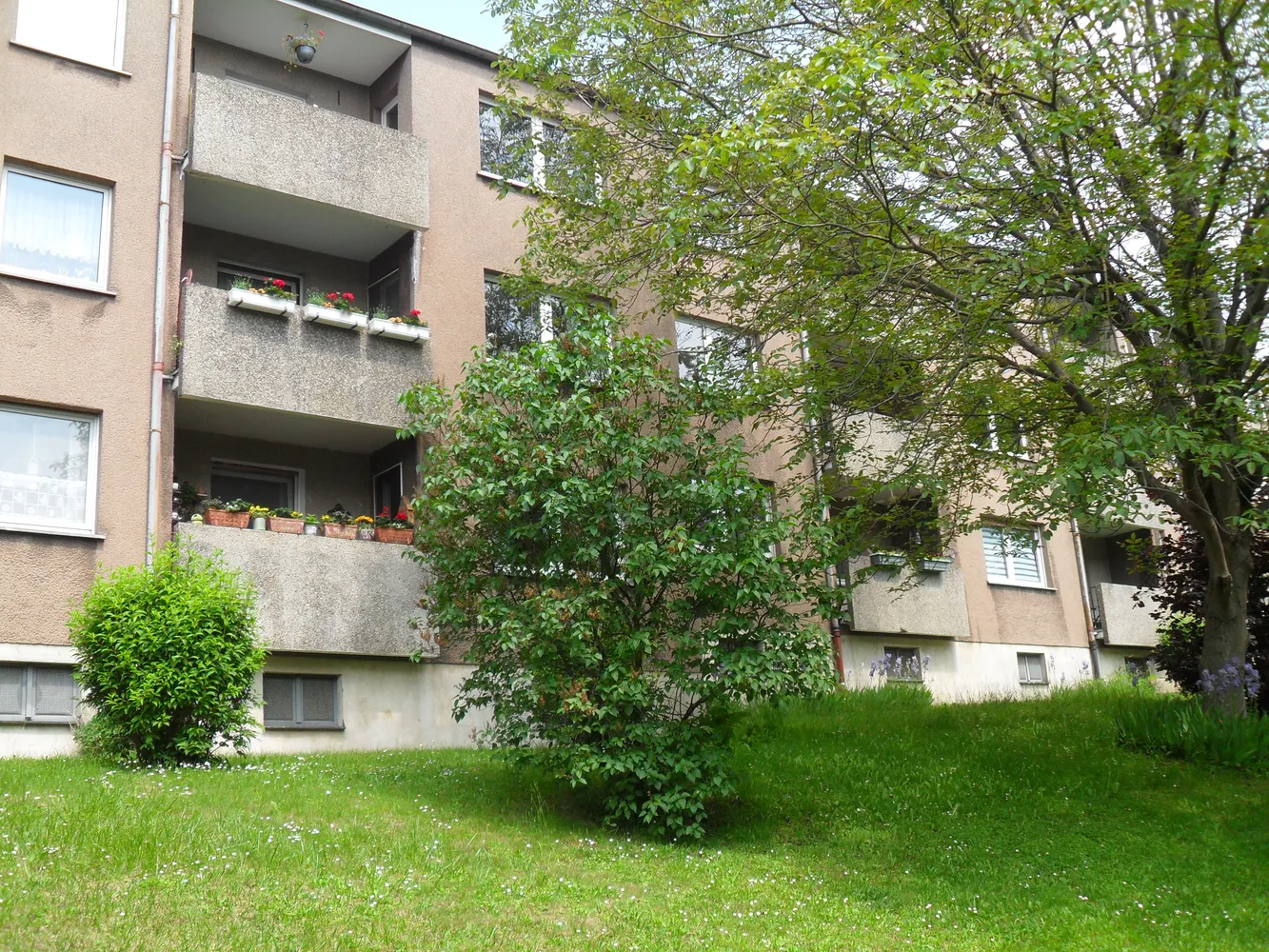 3 Zimmer Wohnung mit 73 m² in Hagen – Bild 3