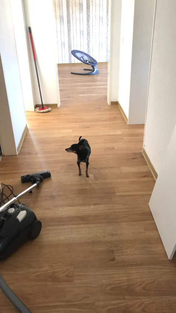 3 Zimmer Wohnung mit 80 m² in Duisburg – Bild 5