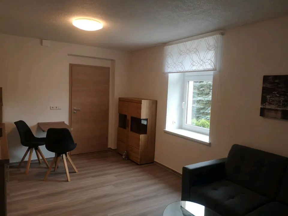 2 Zimmer Wohnung mit 35 m² in Aue-Bad Schlema – Bild 3