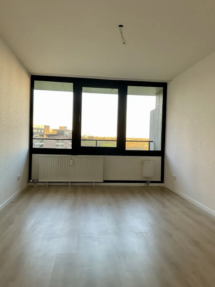 4 Zimmer Wohnung mit 115 m² in Köln – Bild 3