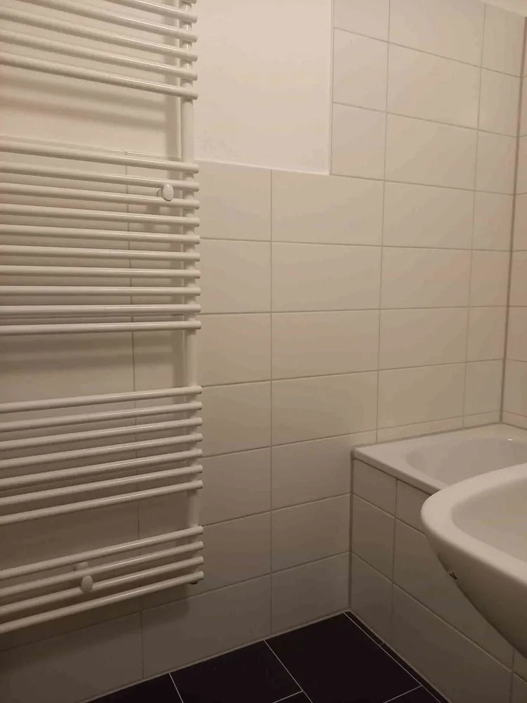 1 room apartment with 27 m² in Dresden – Photo 8