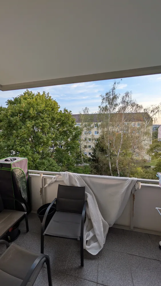 2 Zimmer Wohnung mit 51 m² in Dresden – Bild 5