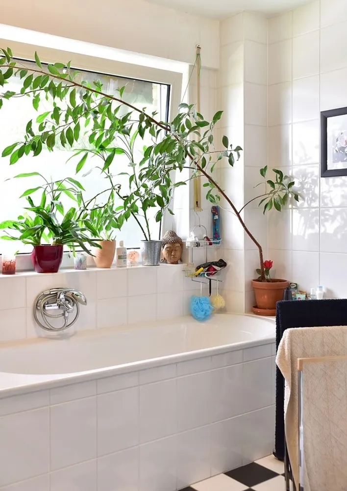 5 Zimmer Haus mit 120 m² in Bonn – Bild 2