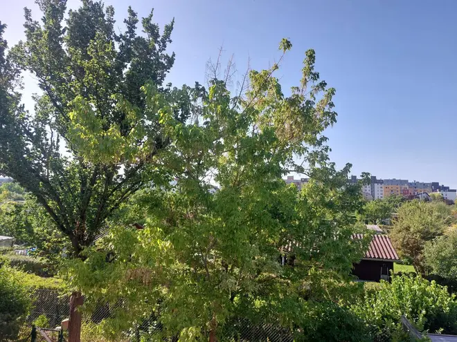 3 Zimmer Wohnung mit 82 m² in Nürnberg – Bild 9