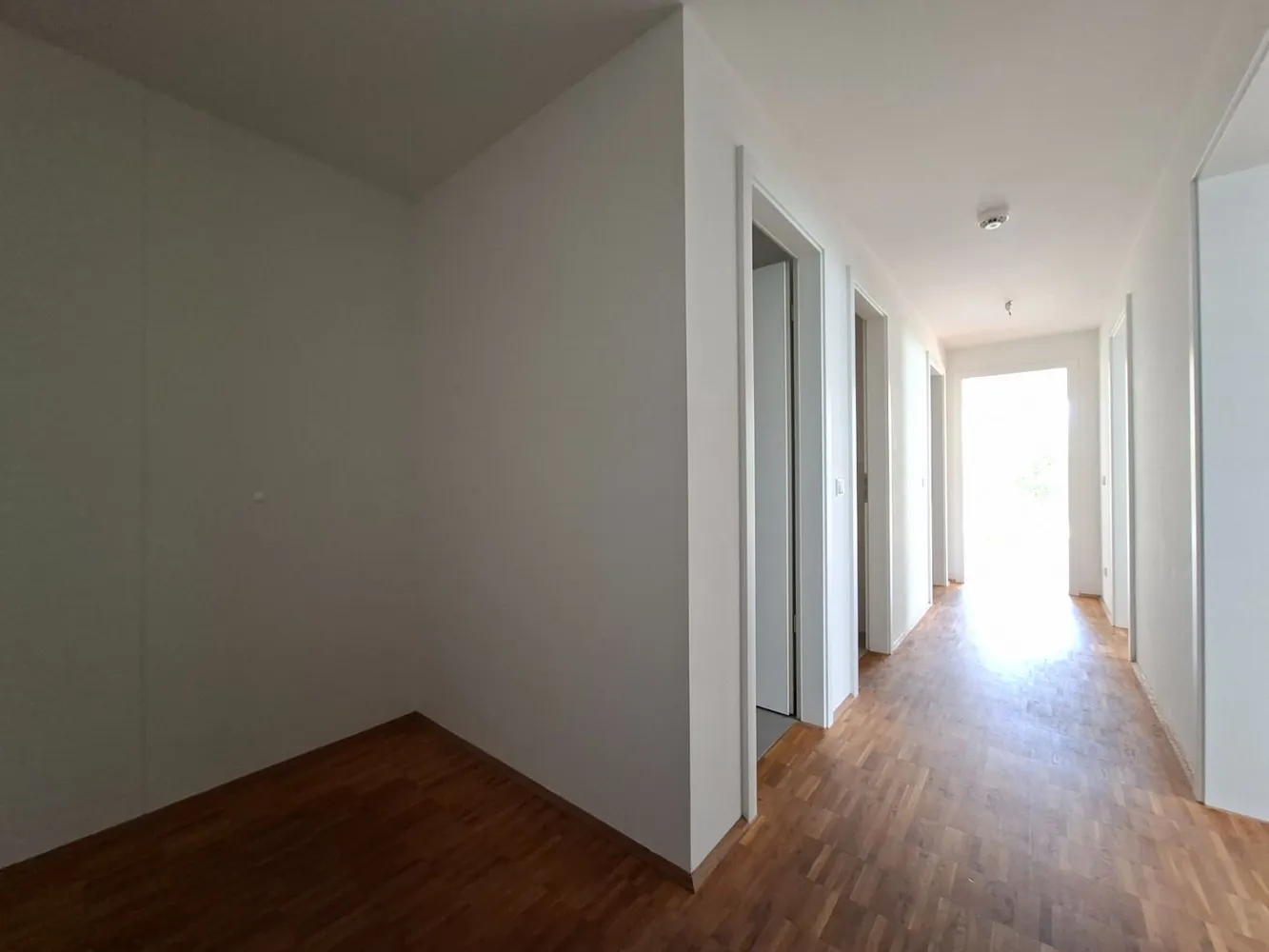 3 room apartment with 87 m² in Dresden – Photo 2