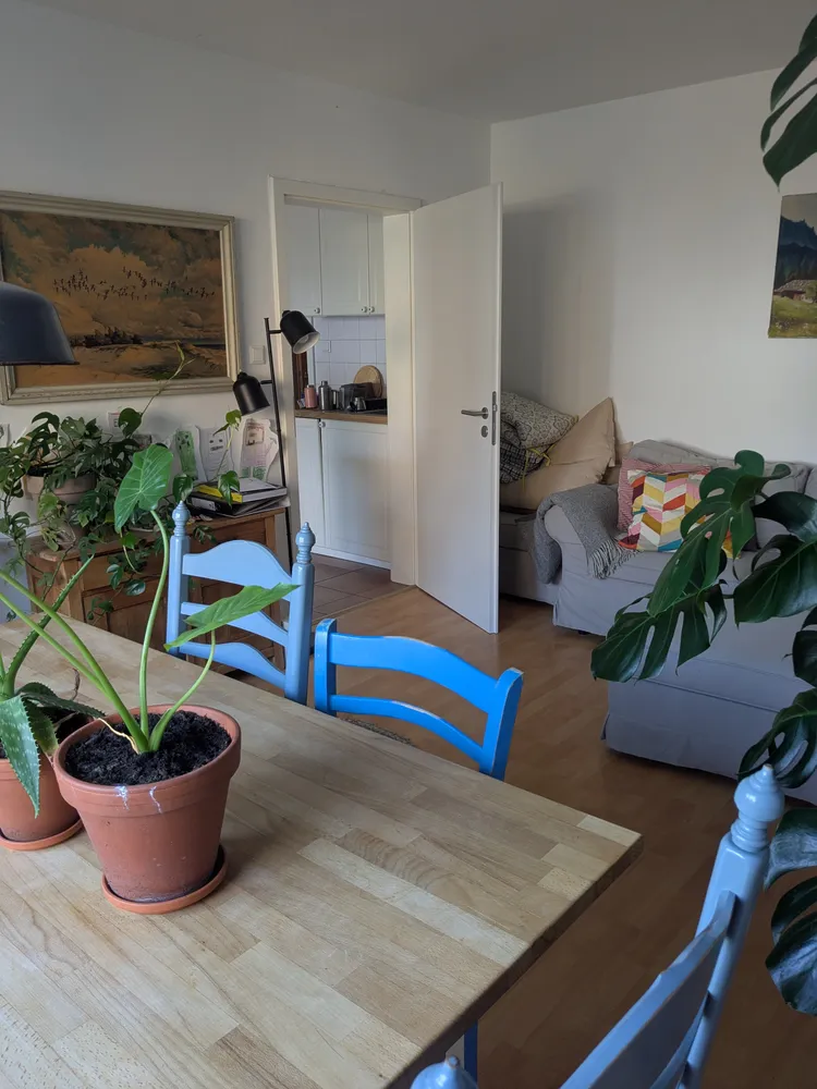 3 Zimmer Wohnung mit 91 m² in Bonn – Bild 7