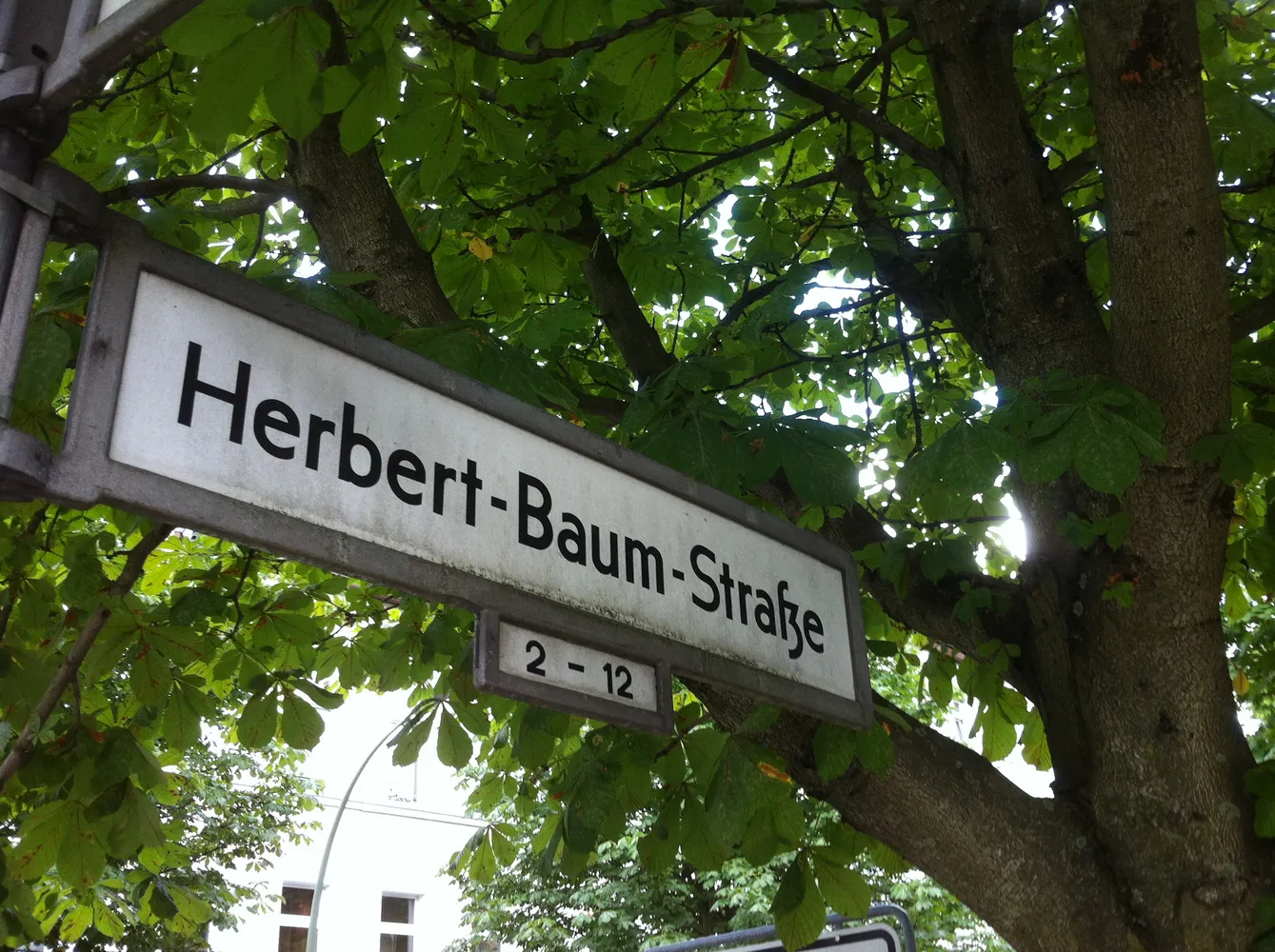 2 Zimmer Wohnung mit 55 m² in Berlin – Bild 3