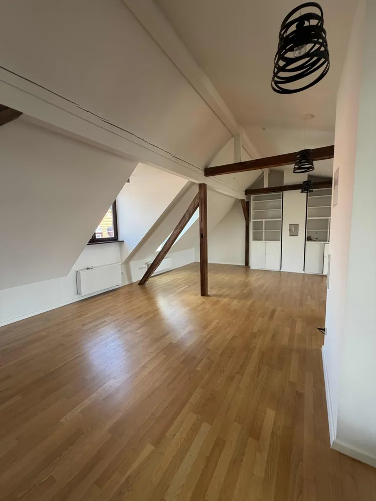 5 Zimmer Wohnung mit 230 m² in Heidelberg – Bild 12
