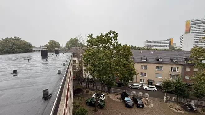 3 Zimmer Wohnung mit 85 m² in Krefeld – Bild 3