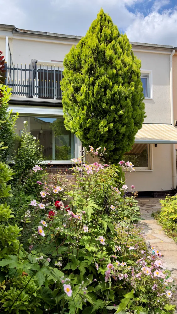 3 Zimmer Haus mit 77 m² in Berlin – Bild 4