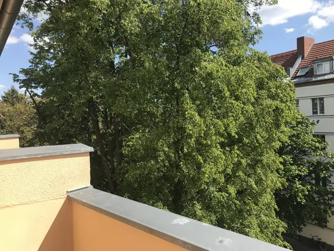 2 Zimmer Wohnung mit 53 m² in Berlin – Bild 8