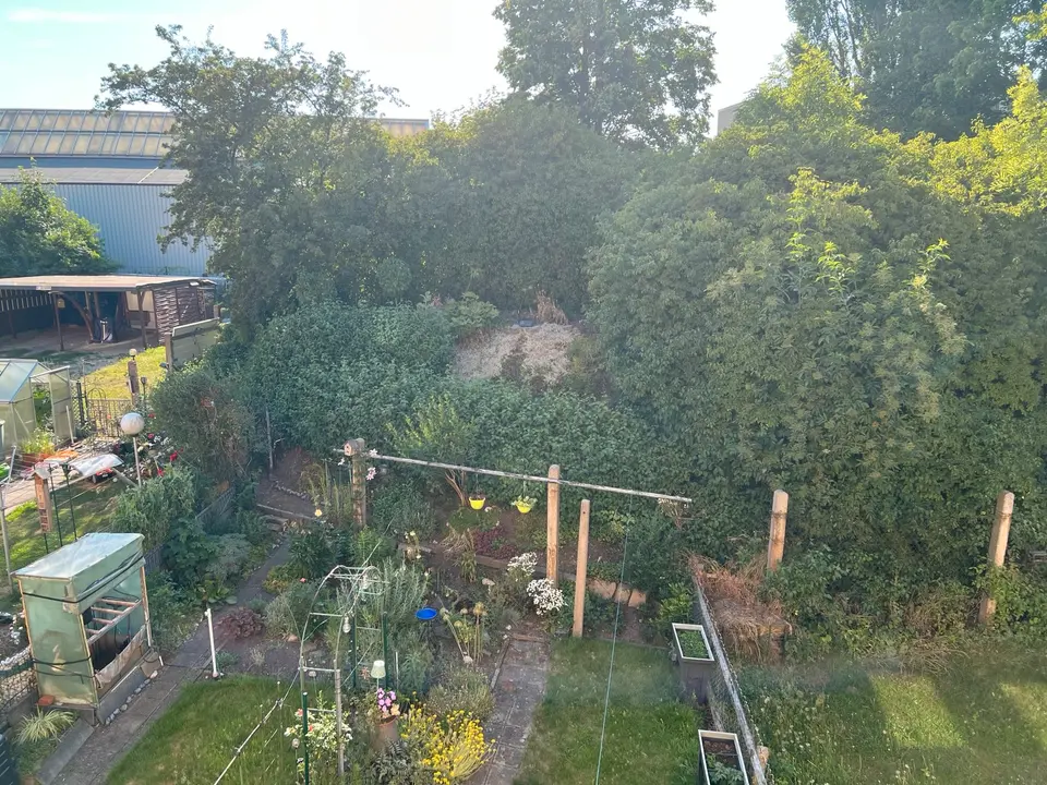 2 Zimmer Wohnung mit 60 m² in Zwickau – Bild 10