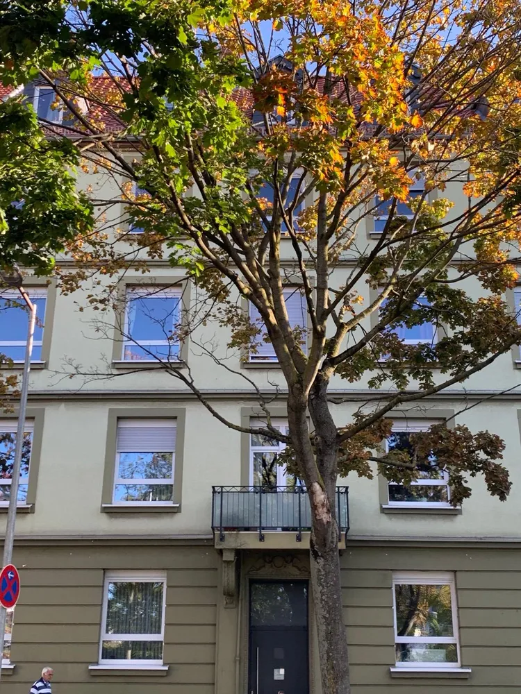 3 Zimmer Wohnung mit 75 m² in Hannover – Bild 1