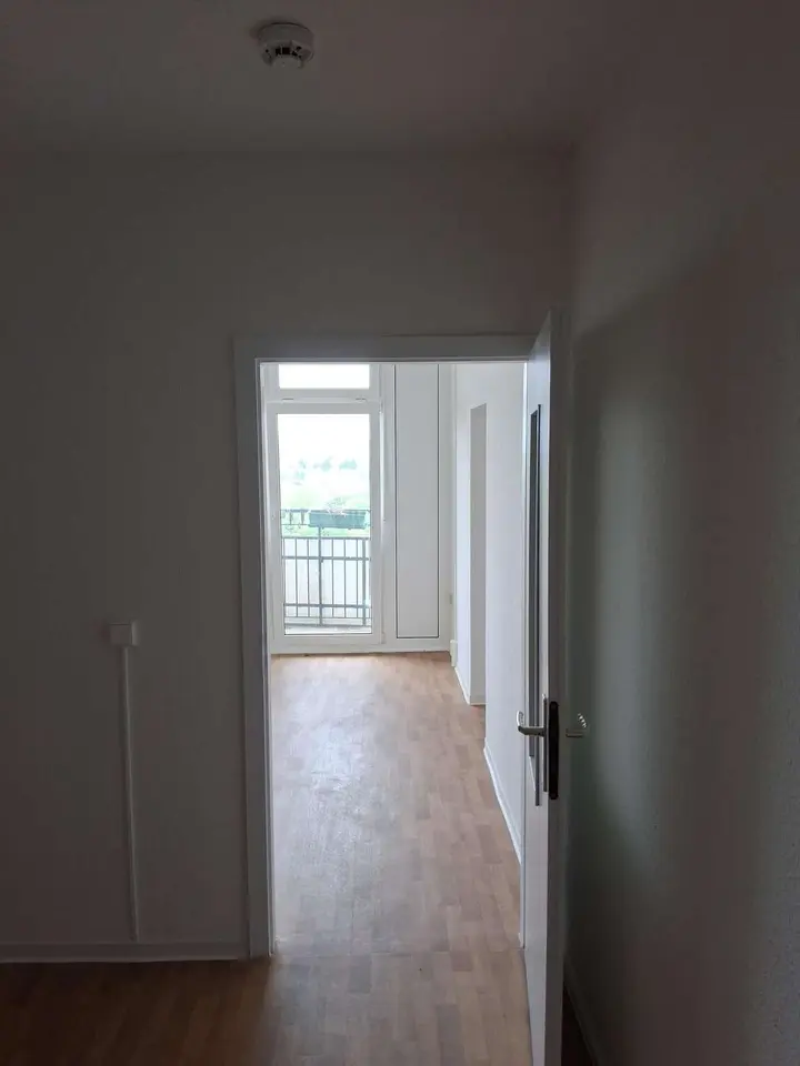 2 Zimmer Wohnung mit 43 m² in Dresden – Bild 4