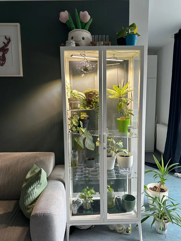 1 Zimmer Wohnung mit 60 m² in Berlin – Bild 8