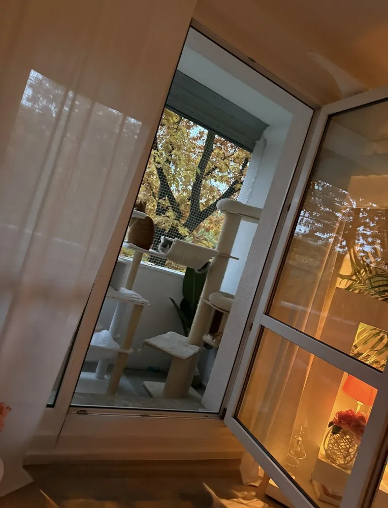 3 Zimmer Wohnung mit 57 m² in Halle (Saale) – Bild 10