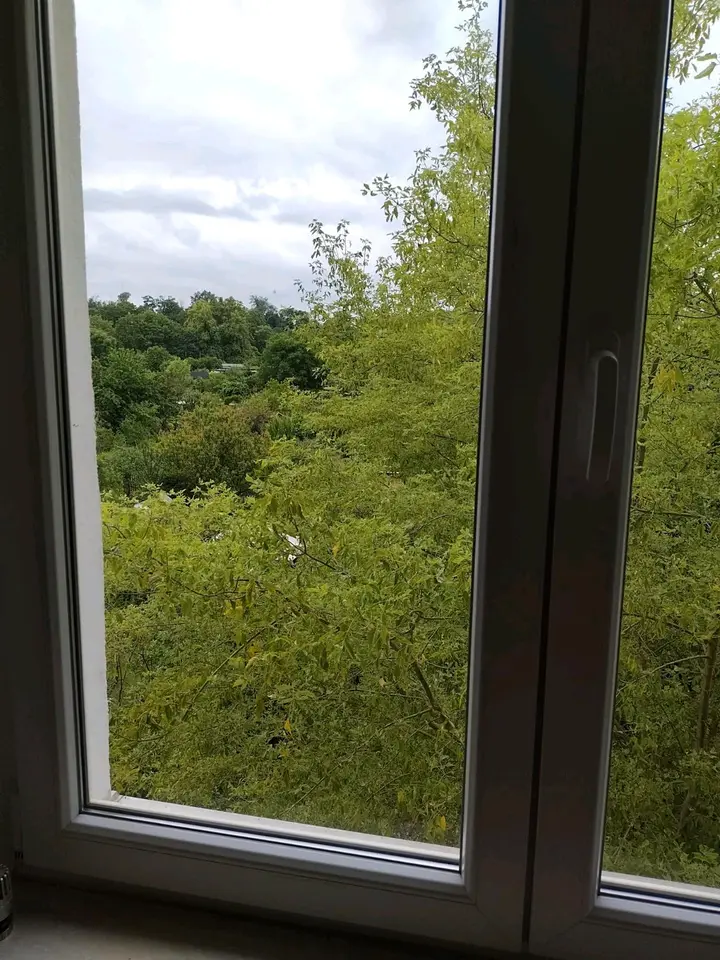 2 Zimmer Wohnung mit 51 m² in Halle (Saale) – Bild 8