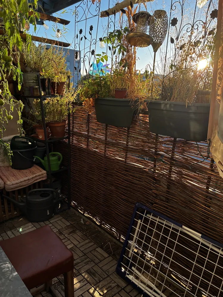 1 Zimmer Wohnung mit 40 m² in Berlin – Bild 5