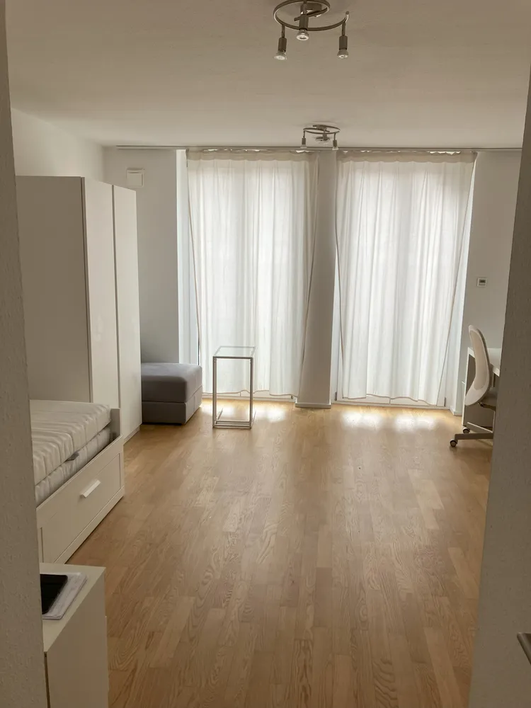 1 room apartment with 25 m² in Freiburg im Breisgau – Photo 1