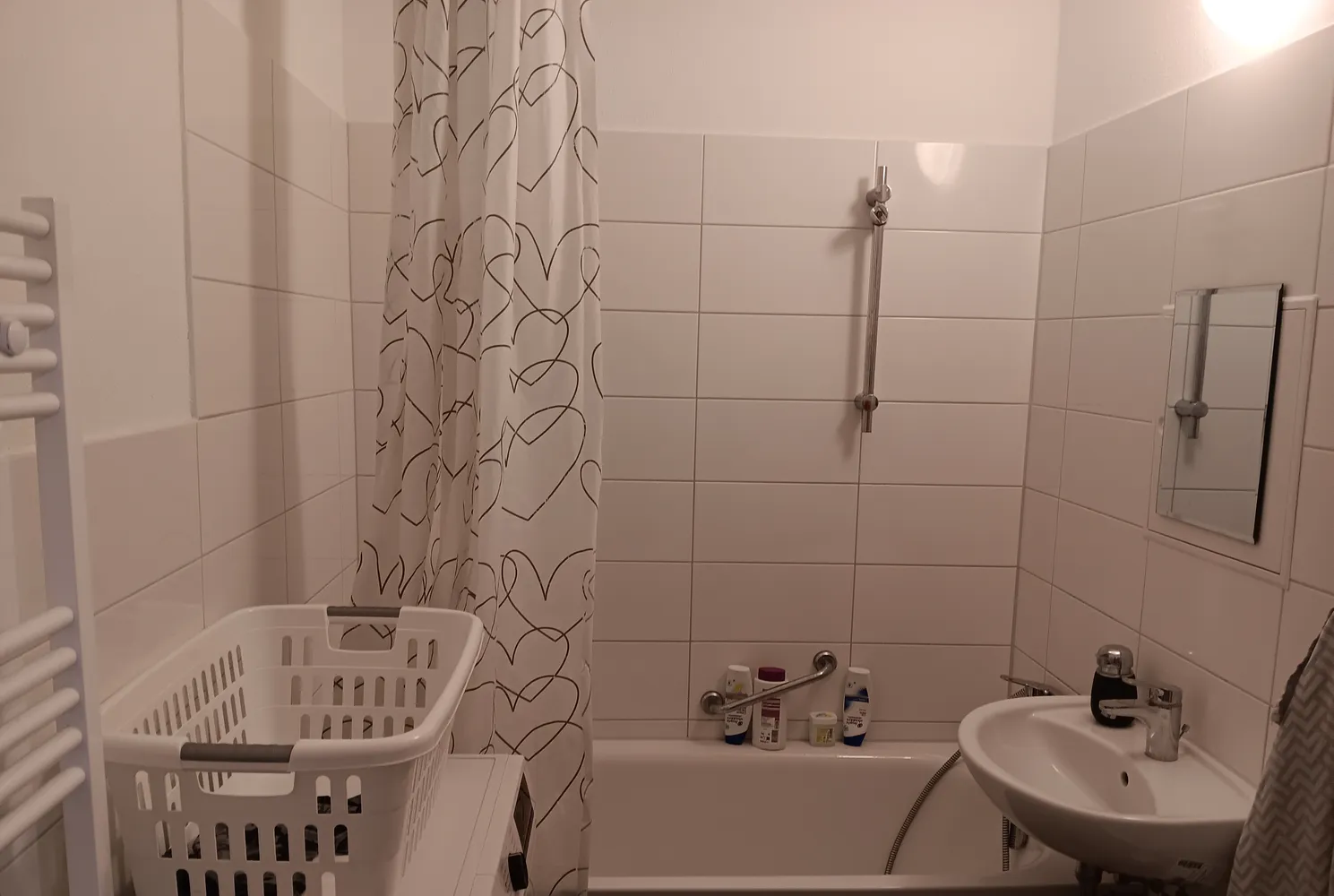 3 room apartment with 57 m² in Dresden – Photo 3