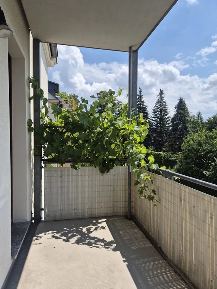 3 room apartment with 70 m² in Chemnitz – Photo 6
