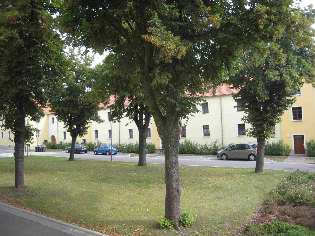 2 room apartment with 52 m² in Senftenberg – Photo 3
