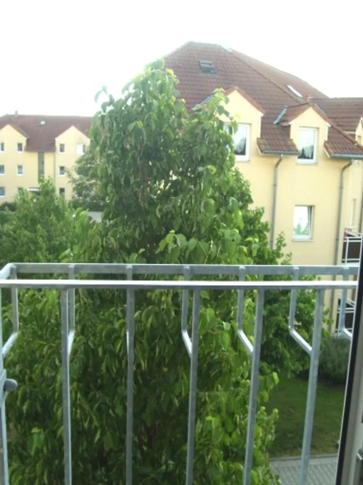 3 Zimmer Wohnung mit 60 m² in Leipzig – Bild 2