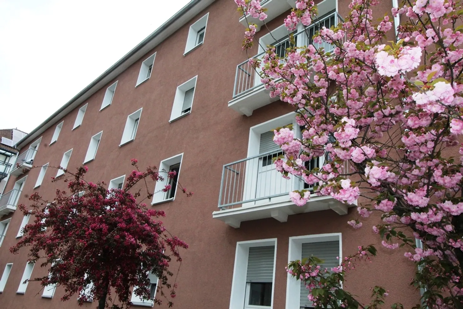 2 Zimmer Wohnung mit 49 m² in Karlsruhe – Bild 5