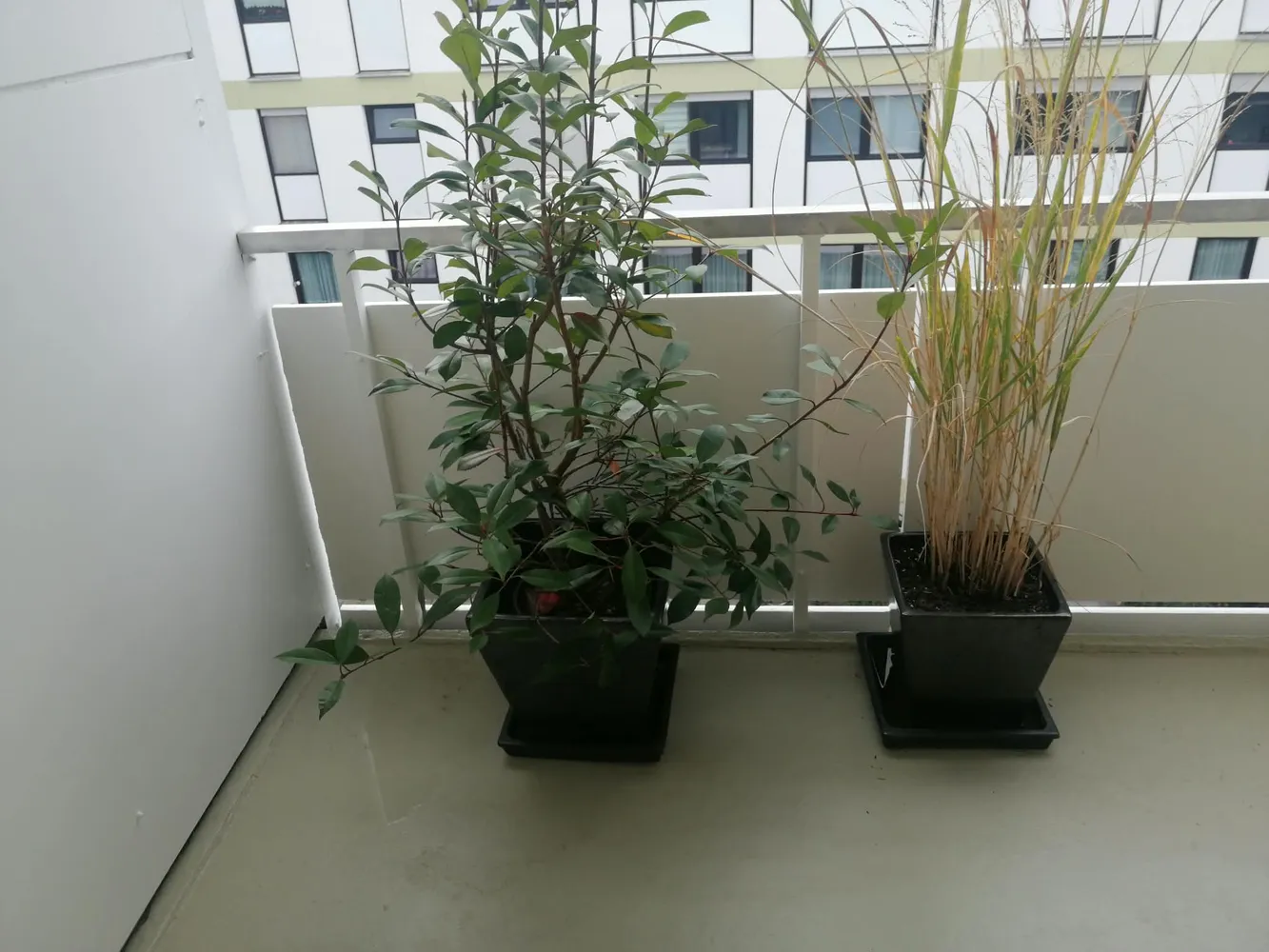 1 Zimmer Wohnung mit 35 m² in München – Bild 10
