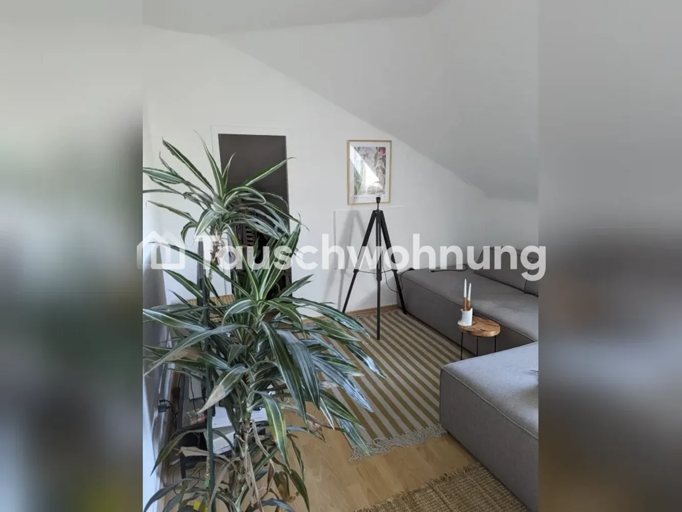 3 Zimmer Wohnung mit 55 m² in Köln – Bild 4