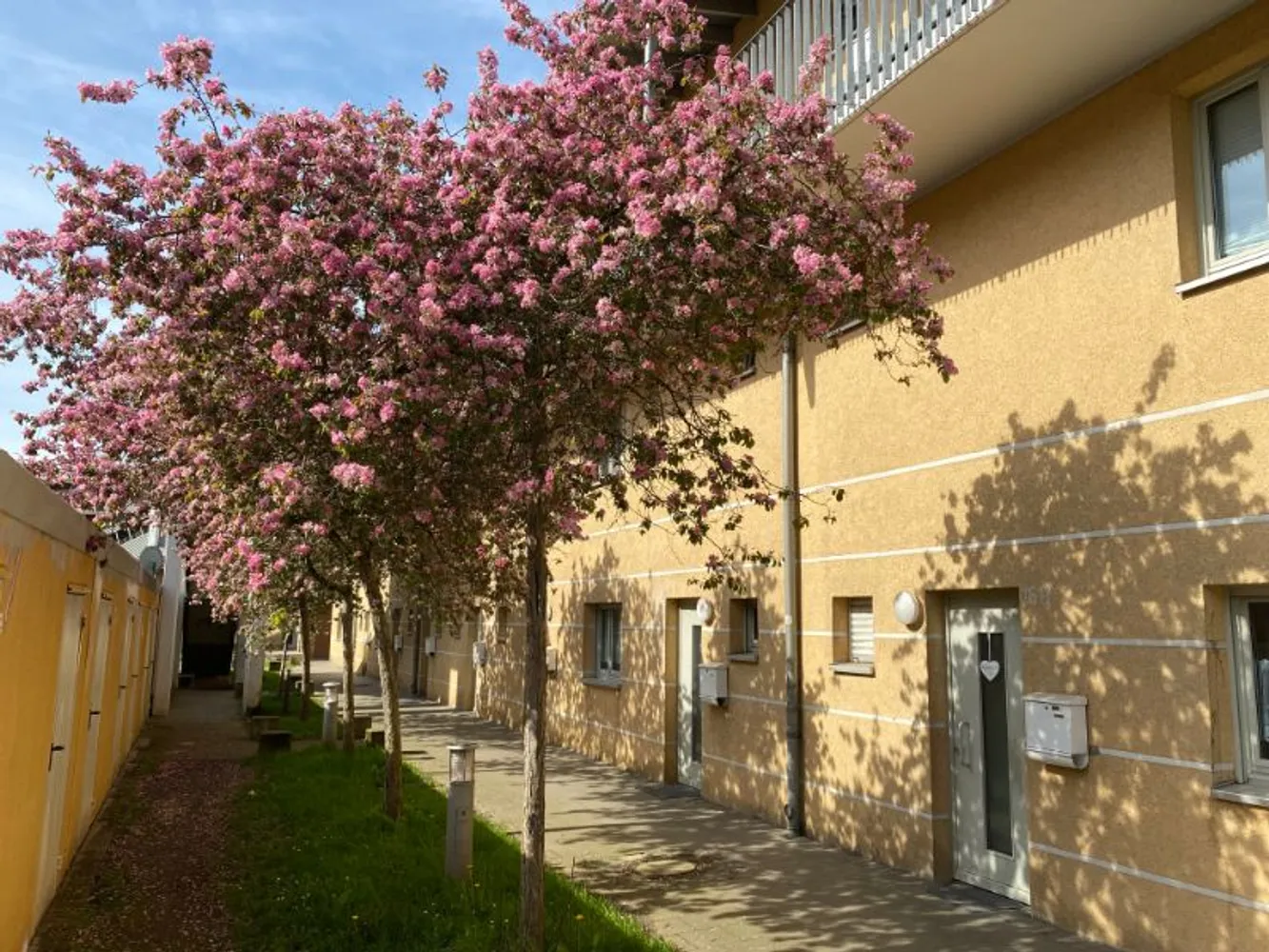 3 Zimmer Wohnung mit 61 m² in Gelsenkirchen – Bild 5