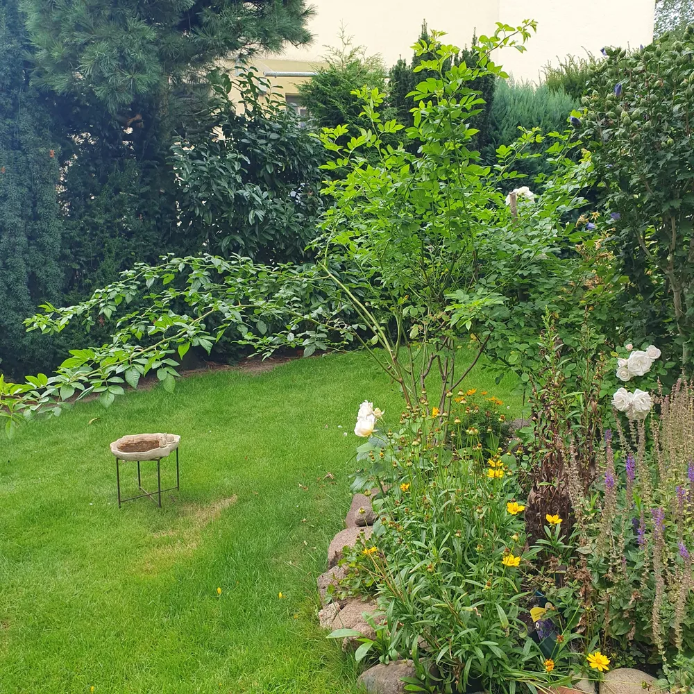 4 Zimmer Haus mit 105 m² in Berlin – Bild 5