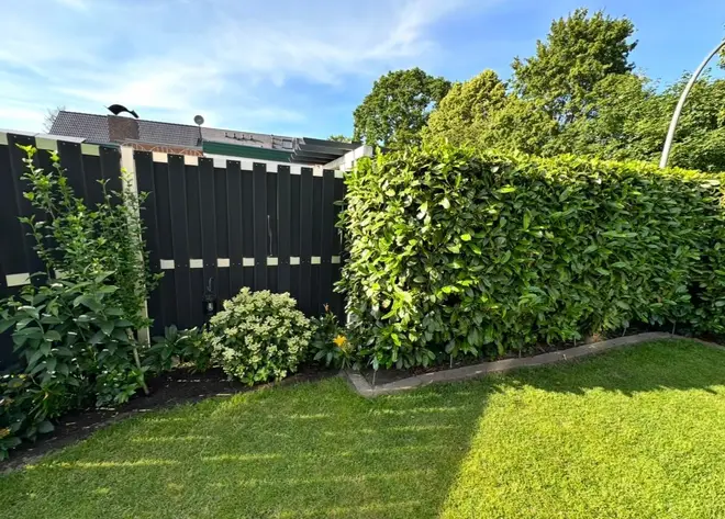 4 Zimmer Wohnung mit 114 m² in Hamburg – Bild 9