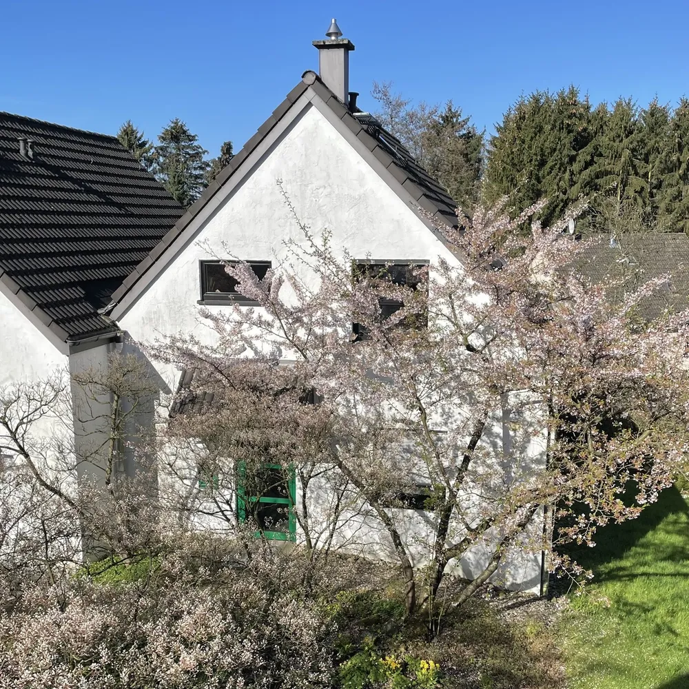 2 Zimmer Wohnung mit 50 m² in Solingen – Bild 1