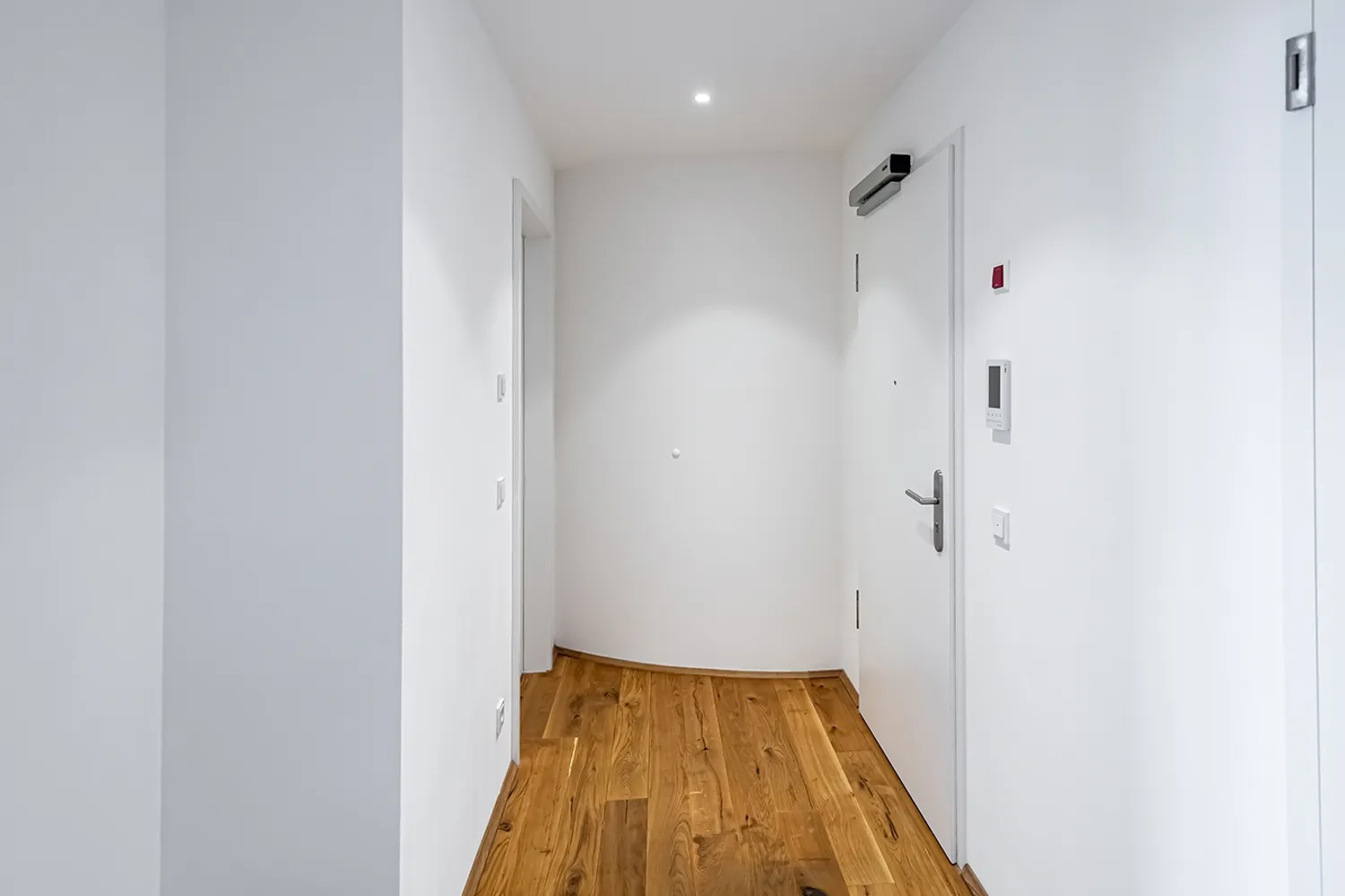 2 room apartment with 58 m² in Dresden – Photo 7