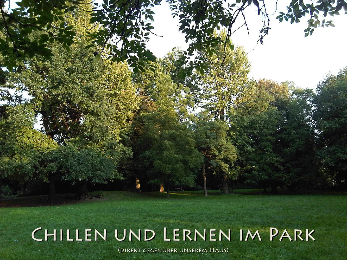 4 Zimmer Wohnung mit 127 m² in Leipzig – Bild 4