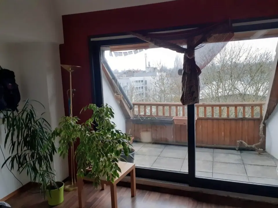 3 Zimmer Wohnung mit 69 m² in Kassel – Bild 3