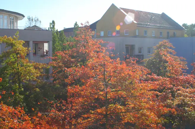 3 Zimmer Wohnung mit 69 m² in Potsdam – Bild 7