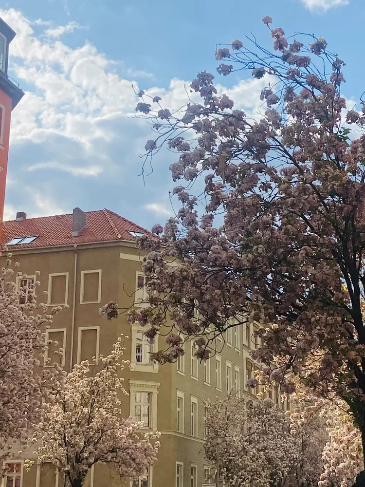 3 Zimmer Wohnung mit 64 m² in Berlin – Bild 2