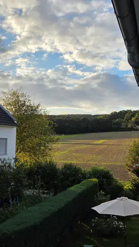 2 room apartment with 53 m² in Chemnitz – Photo 3