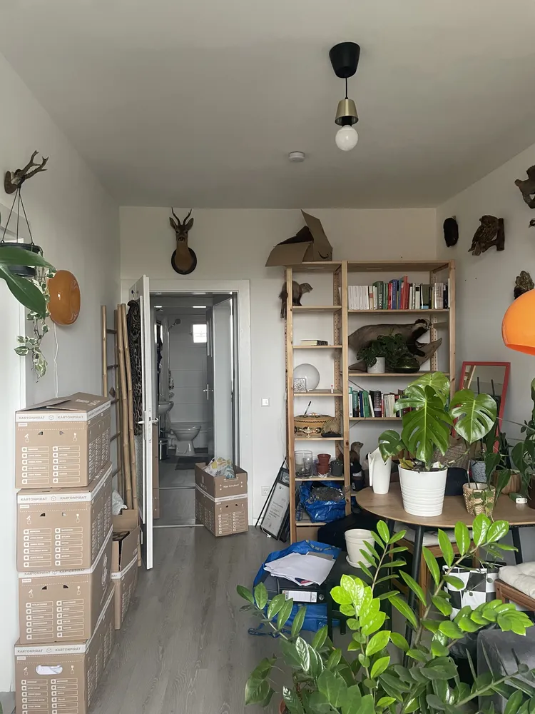 2 Zimmer Wohnung mit 43 m² in Nürnberg – Bild 6